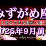 みずがめ座♒︎2025年9月前半タロットリーディング💫やっと安心できる場所へ辿り着く！Aquarius tarot reading