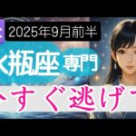 【みずがめ座♒️2025年9月前半】その場所は違う❗️意思を持って選び直す時🚪水瓶座の運勢占い