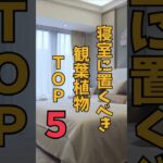 【風水】寝室におくべき観葉植物TOP５！快眠に必要なものは？ #運気アップ  #風水 #観葉植物 #快眠