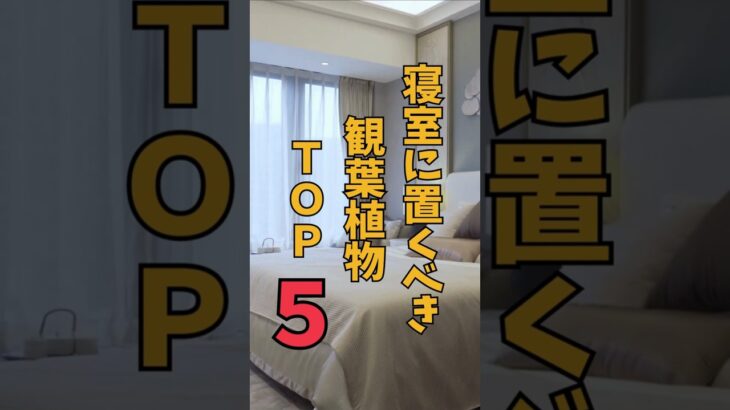 【風水】寝室におくべき観葉植物TOP５！快眠に必要なものは？ #運気アップ  #風水 #観葉植物 #快眠