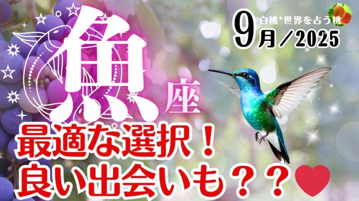 魚座♓2025年9月☆最適な選択！良い出会いも？？❤