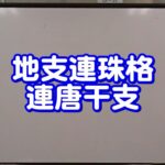 質疑応答集_84.1 実例命式 地支連珠格、連唐干支