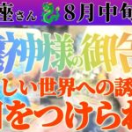 【山羊座♑️8月中旬】こんな世界があったのか！！井の中の蛙、大海に出るッ！！　✡️キャラ別鑑定付き✡️　#タロット占い