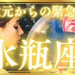 水瓶座さんへ💌この動画に出会った時がタイミング⚜️高次元からの緊急伝言👑タロット&オラクル