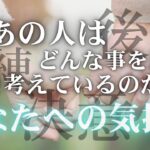 今あの人はどんな事を思い、何を考えてる？あなたへの気持ち✉️ 【 恋愛 タロット オラクル カード 占い】