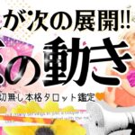 【次の展開はこれ💡🌻】恋進展ある？❤️恋愛のリアルな展開をズバリお伝えします！【有料級鑑定❤︎忖度一切なし❤︎】