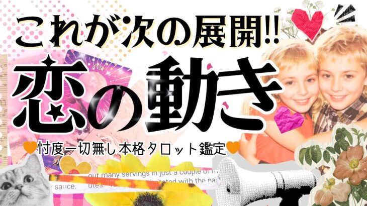 【次の展開はこれ💡🌻】恋進展ある？❤️恋愛のリアルな展開をズバリお伝えします！【有料級鑑定❤︎忖度一切なし❤︎】