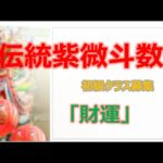 紫微斗数・財運