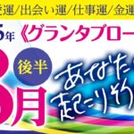 2025年8月後半【グランタブロー】あなたに起こりそうな事❤️恋愛運、仕事運、金運✨【ルノルマンカード】占い