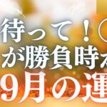 【30分でわかる！】2025年9月【牡羊座】の運勢【全体運／仕事運／恋愛運／対人運／健康運】をタロット×占星術で丸ごとリーディング