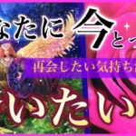 【🌷恋愛】あなたに今とっても会いたい人❤️‍🔥