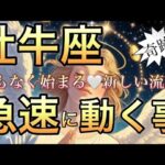 牡牛座🪐いよいよ始まる神がかっている大変化‼️人生逆転🌈【個人鑑定級】先読み深掘りリーディング#アファメーション#潜在意識#牡牛座