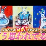 【これこそ超本音💗】ぶっちゃけ好きな気持ちある⁉️私ってどんな存在❓あの人の本当の気持ち💗個人鑑定級✨タロット占い