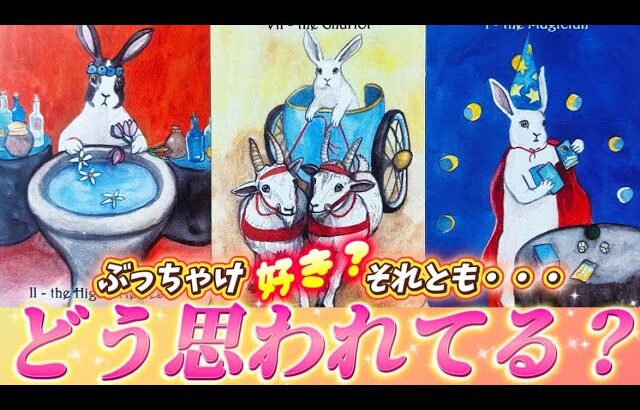 【これこそ超本音💗】ぶっちゃけ好きな気持ちある⁉️私ってどんな存在❓あの人の本当の気持ち💗個人鑑定級✨タロット占い