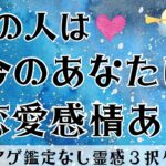 【見た時がタイミング🔔】相手は恋愛感情ある❓ツインレイ/ソウルメイト/運命の相手/複雑恋愛/曖昧な関係/復縁/片思い/音信不通/ブロック/未既読スルー/好き避け/恋愛/結婚/占い/リーディング/霊視