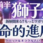 【獅子座】どうしたって新展開きちゃう❗️もっとワガママでOK！🌈✨【仕事運/対人運/家庭運/恋愛運/全体運】9月前半 タロット占い