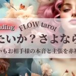 【恋愛占い/忖度なし】会いたいか？さよならか？（辛口あり🌶️）あの人の本音と主張を赤裸々に告白🔮【タロット占い・オラクルカード・カードリーディング】