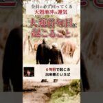 【算命学】大運による天剋地冲の運気#shorts #算命学 #算命学鑑定 #運勢鑑定 #天剋地冲