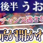 うお座 8月後半の運勢♓️ / 高次なステージへの扉が開かれる🌈  希望溢れる未来を生きる✨ 今こそ行動して❗️【トートタロット & 西洋占星術】