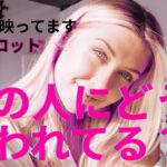 （神回‼️20択オーブ出現💛恋愛霊視タロット）あの人にどう思われている？❤️過去、現在、未来がわかります⭐️この動画にはオーブが映ってます。