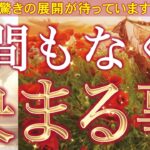 【見逃さないで】恋・仕事・未来…まもなく決まる事が神展開でした🌈個人鑑定級深掘りリーディング［ルノルマン/タロット/オラクルカード］