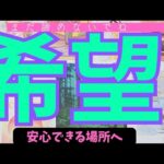 【牡牛座】まだ希望はありますか？🌠諦めなくてもいい？▼タロットカード&オラクルカード&ルノルマンカード占い