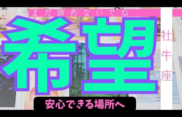 【牡牛座】まだ希望はありますか？🌠諦めなくてもいい？▼タロットカード&オラクルカード&ルノルマンカード占い