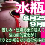 水瓶座♒️８月25日〜９月前半＊苦しみ・逆境を乗り越えて　強力劇的変化が！　新しい始まりとか知らない自分の才能発揮とか！＊魂のリーディング