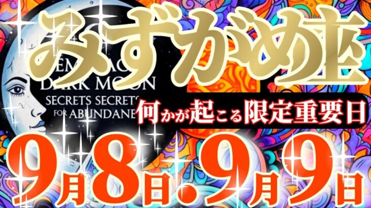 水瓶座さんへ9月前半この日が凄い👑【出た！！文句の付けようがないカードが揃った😲✨】✡️キャラ別鑑定付き✡️　#タロット占い