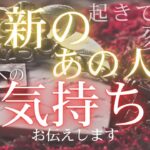 最新のあの人のあなたへの気持ち🤍 あの人に起きている変化 【 恋愛 タロット オラクル カード 占い 】