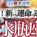 水瓶座 8月後半運勢【運命の追い風吹く！重荷を降ろして再スタート】本当に大切なモノを思い出す　みずがめ座　2025年 ８月運勢　タロットリーディング　Aquarius　August
