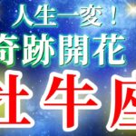 『9月3日までに見て！』 牡牛座 【 おうし座 ♉ 】( 2025年 9月 前半) 大逆転の幸運の波！自己グレードアップのチャンス✨🔑 タロット占い タロットリーディング 2025