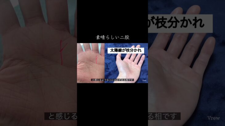 開運の手相紹介 #手相 #手相鑑定 #手相占い