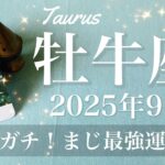 【おうし座】2025年9月♉️ おうし座さん…別世界の幸福感！もう迷わない、喜びが確信に、ようやく夜が明けるね
