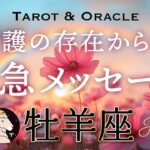 【牡羊座♈️Aries】あなたを見護る存在から緊急です💌「自分のスピリットを生きる」という挑戦を。タロット＆オラクル／tarot＆Oracle card reading