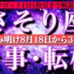 蠍座♏︎お盆明け8月後半【仕事・チャンス】1日単位でタロットリーディング💫成功？転機は？