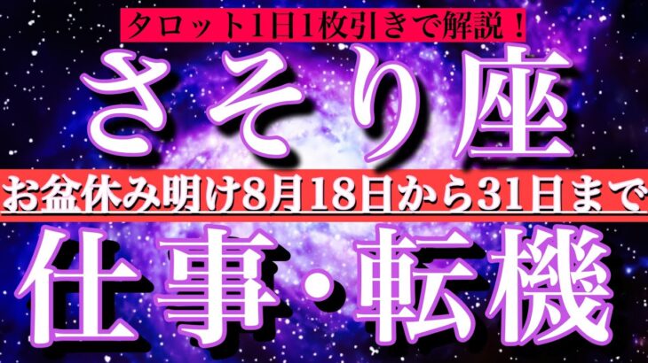 蠍座♏︎お盆明け8月後半【仕事・チャンス】1日単位でタロットリーディング💫成功？転機は？