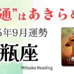 水瓶座9月は普通じゃない‼️宇宙にまかせてOK、あなたの感覚は正しい♒️2025年9月運勢仕事恋愛人間関係【癒しのタロット個人鑑定級】