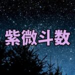 紫微斗数講座のご案内