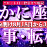 蟹座♋︎盆明け8月後半【仕事・チャンス】1日単位でタロットリーディング💫成功？転機は？