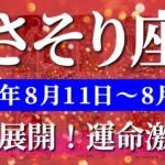 蠍座 【 さそり座 ♏ 】週間リーディング( 2025年 8月11日の週) 奇跡開花！蠍座の内なる輝きが現実を変える週✨🔑 蠍座 2025年8月 タロット占い
