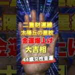 【手相】金運勝ち組の大吉相 #手相  #手相占い  #占い  #スピリチュアル  #雑学