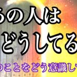 [恋愛] あの人は今どうしてる❓疎遠・片思い…難しい状況の中、あの人の今と想いは❓タロット鑑定