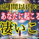 【驚きの大激変😳❗️】2週間以内に起こる物凄い事🔥個人鑑定級タロット占い🔮✨