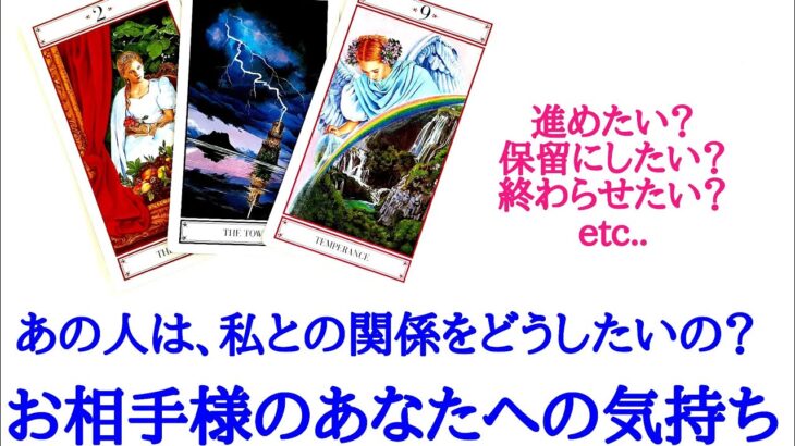 🌹恋愛タロット占い🌹進めたい？保留にしたい？それとも終了？あの人は、私との関係をどうしたいの？お相手様の現状とあなたへの気持ち