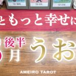 うお座♓️８月後半🌻喜ぶともっともっと幸せになる‼️幸せになる準備はできている😆🕊️✨