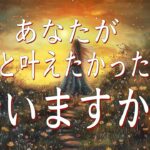 ずっと叶えたかったこと叶いますか？
