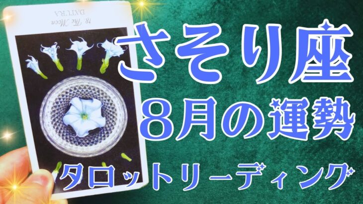 さそり座さん♏️2025年8月の運勢タロットリーディング✨仕事運・金運・対人運も見ました✨