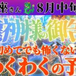 【牡牛座♉️8月中旬】こんな気持ちになったの初めて！！前からやりたかった事が実現する　✡️キャラ別鑑定付き✡️　#タロット占い