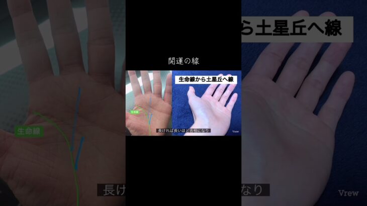 生命線から伸びる運命線とは？ #占い #手相 #手相鑑定 #手相占い